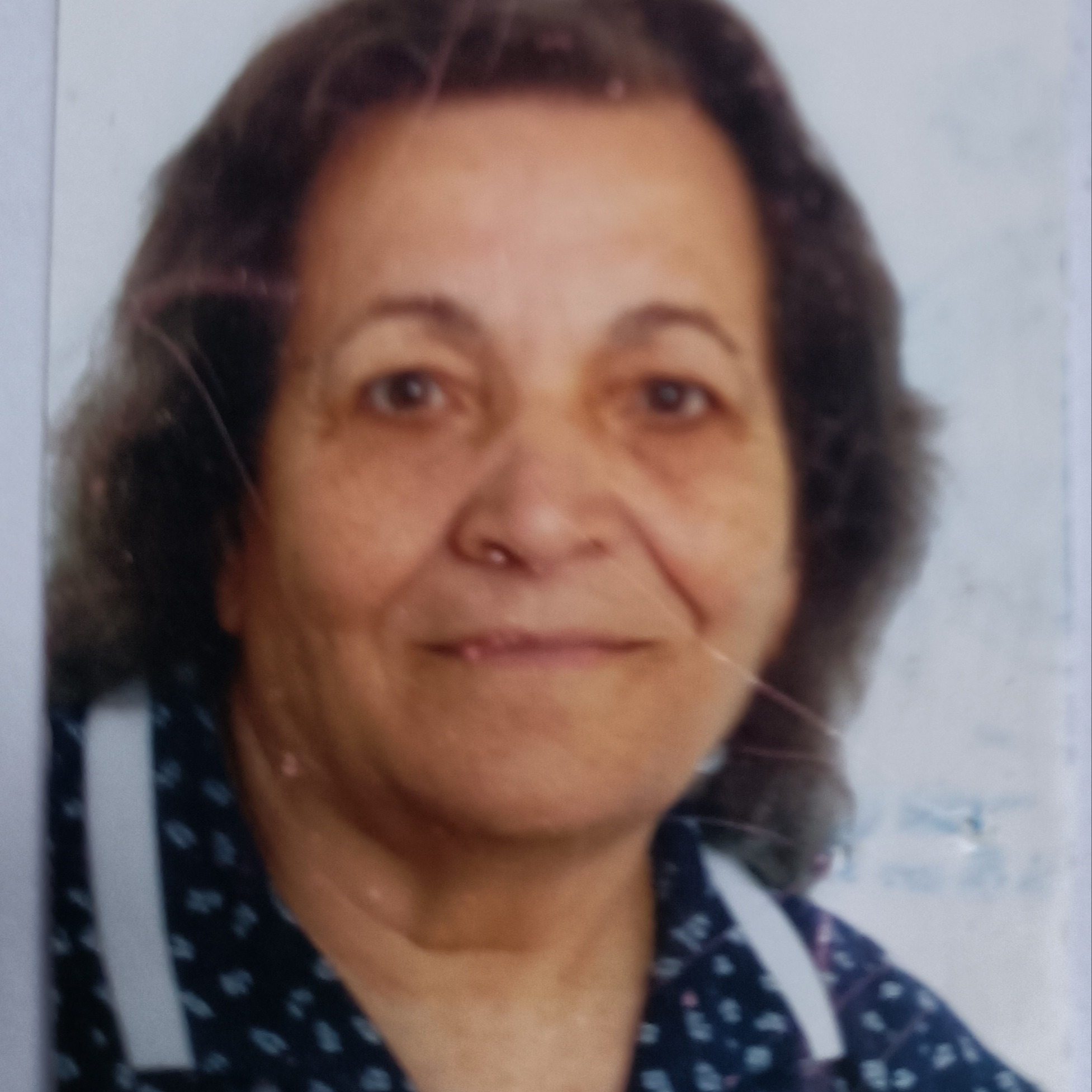 Photo de Novesina GRECO